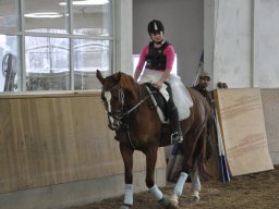 DSC_0905_web